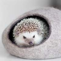 Ofereça o conforto que seu Hedgehog merece com nossos ninhos e tocas.